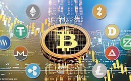 从新闻到数据：CryptoPulse 打造加密市场全景视角