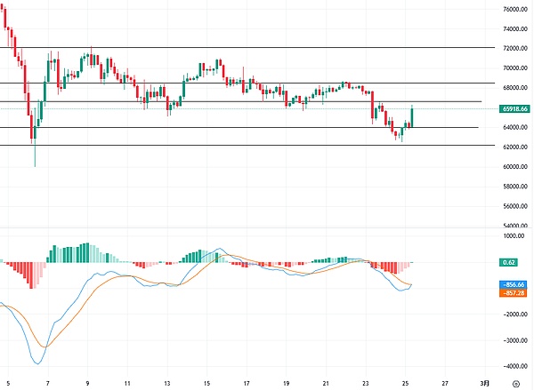 get?code=NzgwZjExZTRlOGM4ODk1YzU2ZDllYjdjYzc3MjgzNjYsMTc3MTk5MzI2MDM0OA==