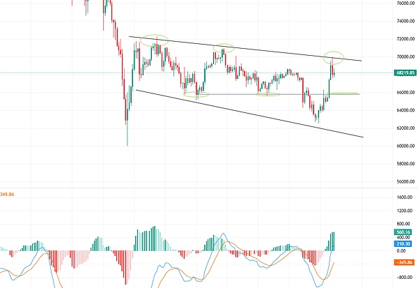 get?code=MzI2OGRkY2MxM2Q2ZWJkZTY0MDdiMTlmZDI5NThlMjAsMTc3MjA3Njk1NDM1Nw==