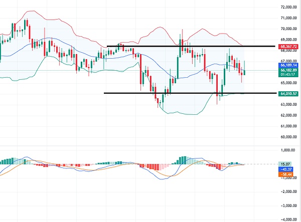 get?code=YmE1M2EwNGQ1MWU2OGJjMjFjMTEzMTg1M2M3ZGUyNWUsMTc3MjQzMTcwMjM2Mg==