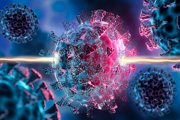 Scientists discover compounds that help cells fight a wide range of viruses | MIT News | Massachusetts Institute of Technology