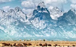 《断背山》的故乡 正在发行一种新的美国梦