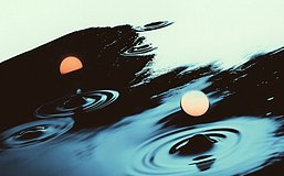 概率小酒馆：预言家的实战笔记