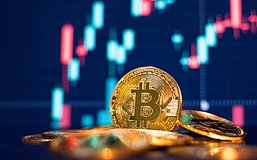 不要浪费比特币牺牲我们的历史窗口