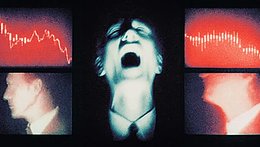 Bankless：加密货币市场极度恐慌 现在该怎么办？