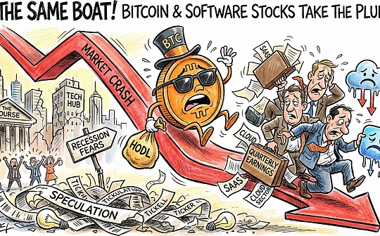 Why did Bitcoin prices fall along with software stocks?
