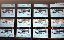 OpenClaw 之后 AI 创业的逻辑变了