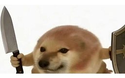 3月金狗已预订？洗脑抽象梗「我的刀盾」杀疯了