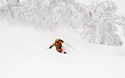 Arthur Hayes：我为何高度看好Hyperliquid