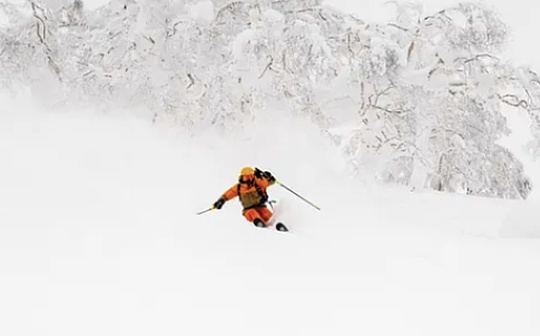 Arthur Hayes: Why I'm So Optimistic About Hyperliquid