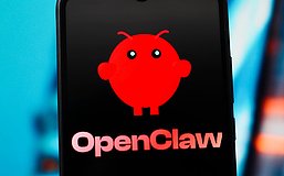 丧钟为谁而鸣 龙虾为谁而养？