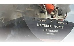 霍尔木兹封锁 14 天:全球 7 大经济体谁会先撑不住?